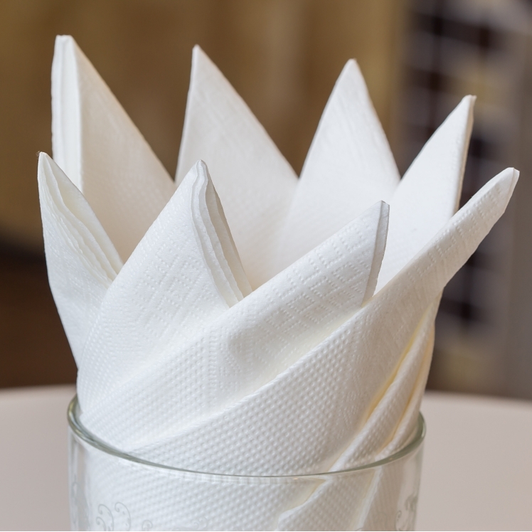 VALU PLUS DINNER NAPKIN WHITE 15X17 2 PLY