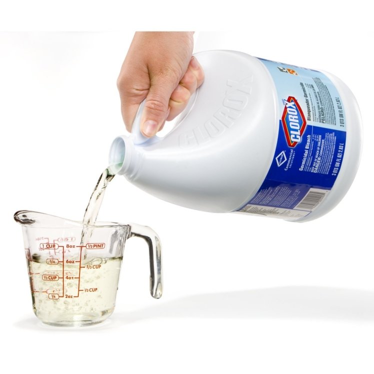 CLOROX GERMICIDAL BLEACH