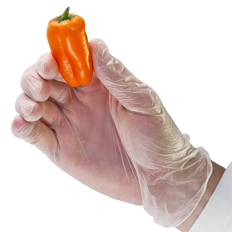 GLOVE, VINYL XL PF NTRL AMBDX