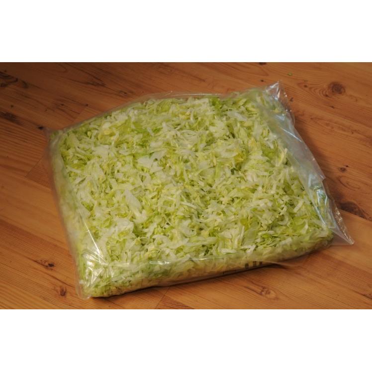 TRUE LEAF SHREDDED LETTUCE