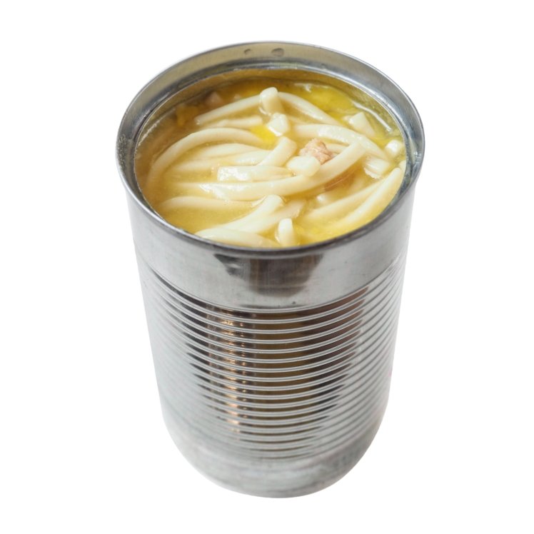 CAMPBELL'S CHICKEN NOODLE SOUP