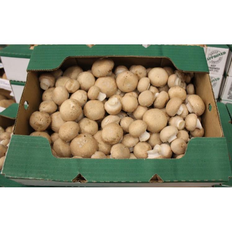 CREMINI MUSHROOMS FRESH