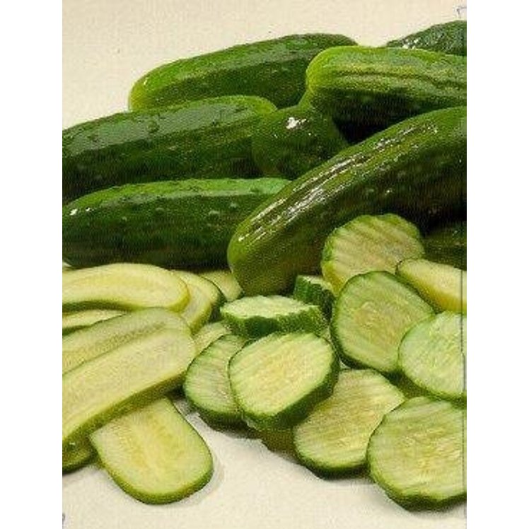 CHIPICO DILL PICKLE SPEAR