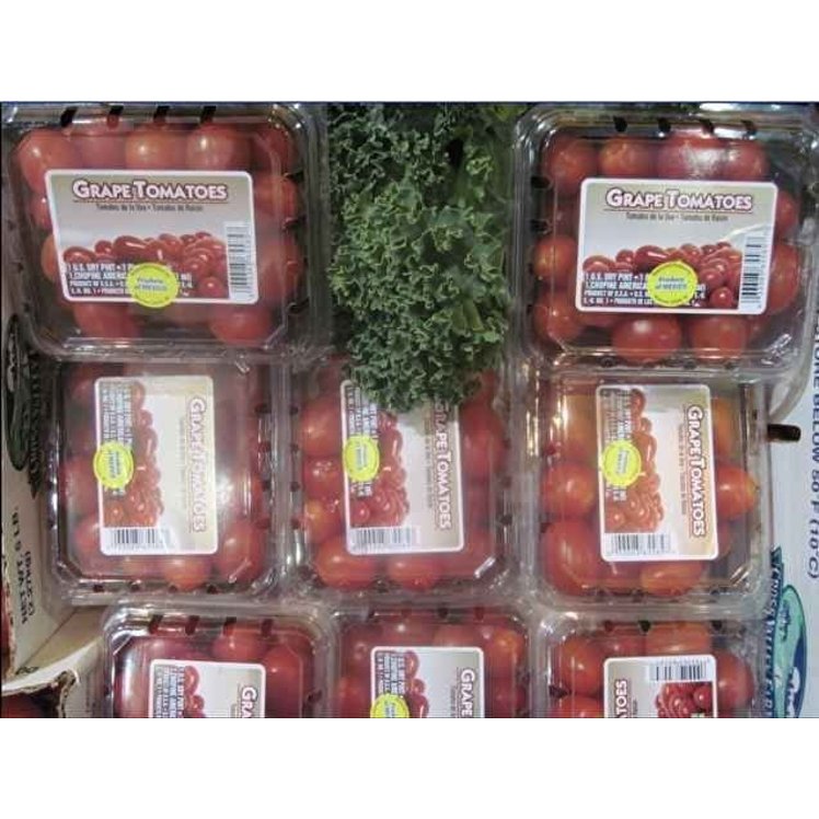 GRAPE RED TOMATO FRESH
