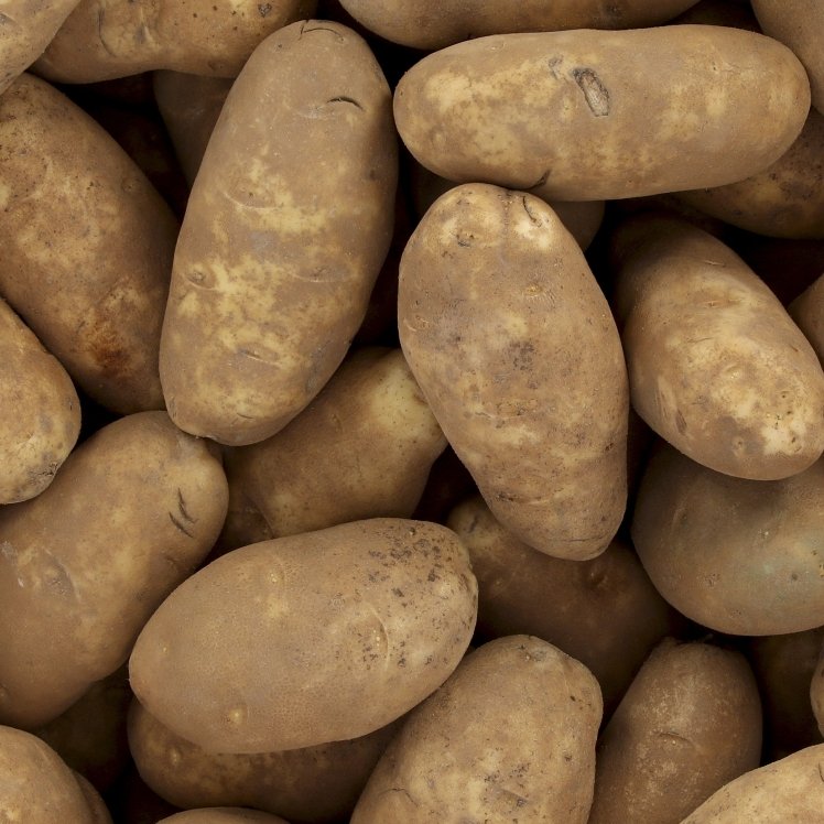 RUSSET POTATO 70 CT 10-13 OZ