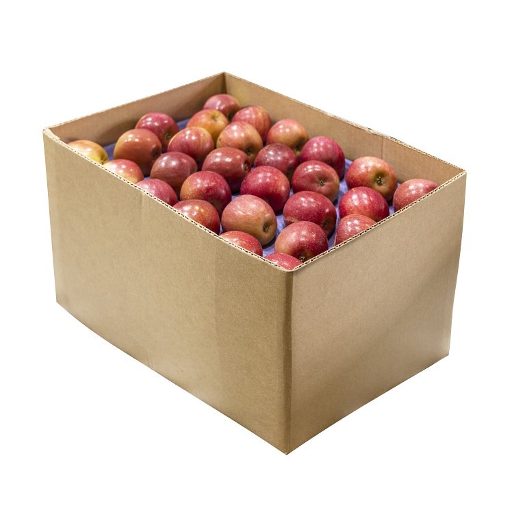 FUJI APPLES 88 COUNT FRESH
