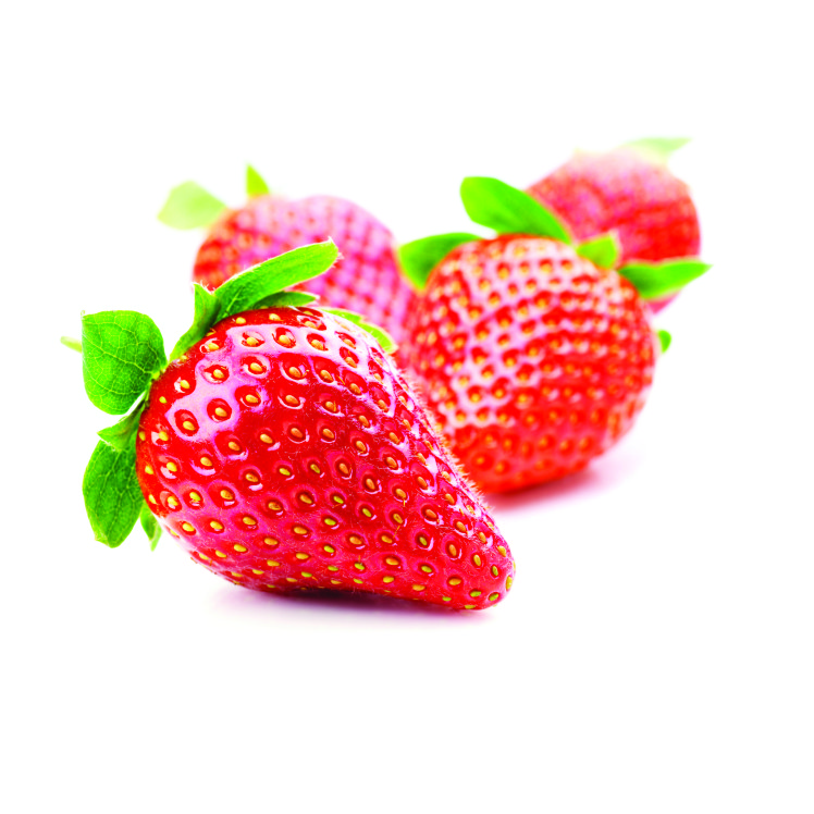 STRAWBERRY FRESH