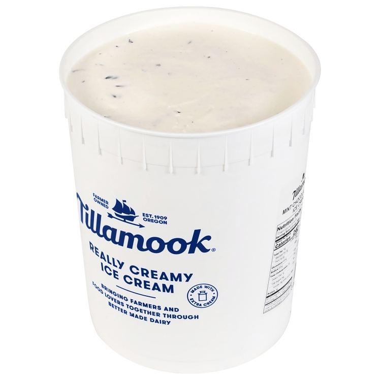 TILLAMOOK ICE CREAM MINT CHOCOLATE CHIP