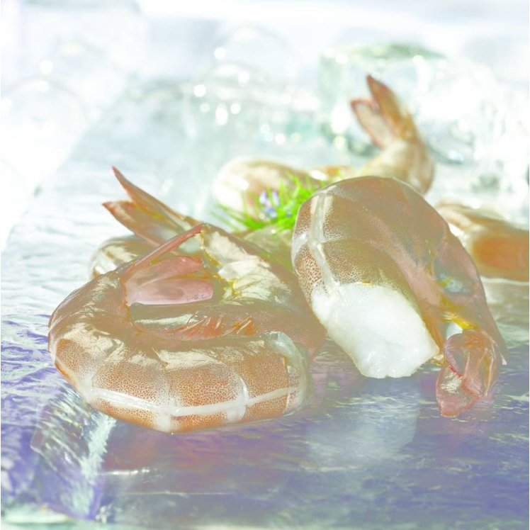 AQUA STAR WHITE SHRIMP EASY PEEL 31-40