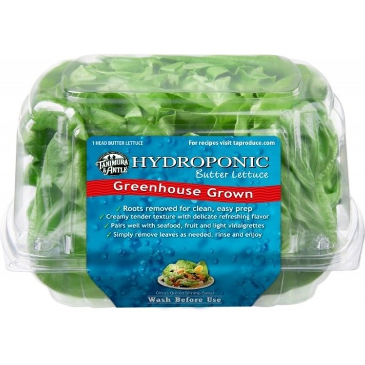TANIMURA & ANTLE BIBB BUTTER LETTUCE CLAMSHELL