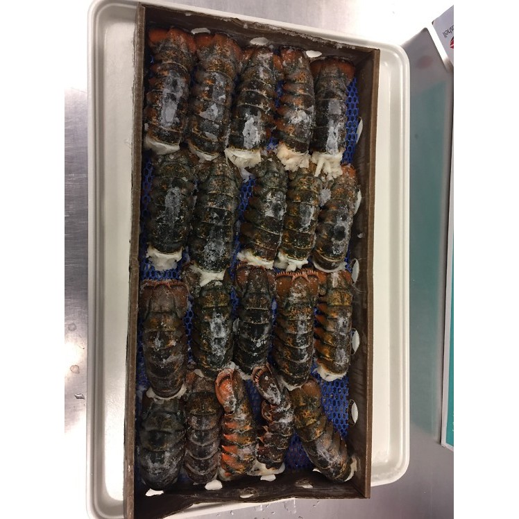 OYSTER BAY NORTH AMERICAN LOBSTER TAILS 4 OZ