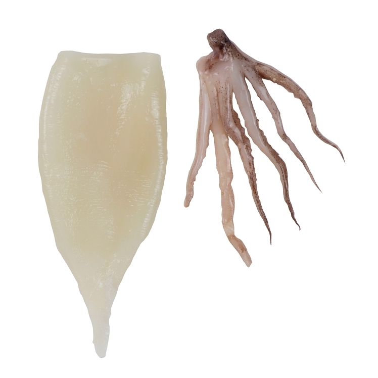 HARBOR BANKS CALAMARI TUBES AND TENTACLES 3-5 INCHES