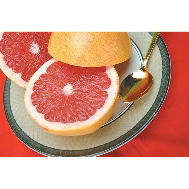 GRAPEFRUIT RED FRESH