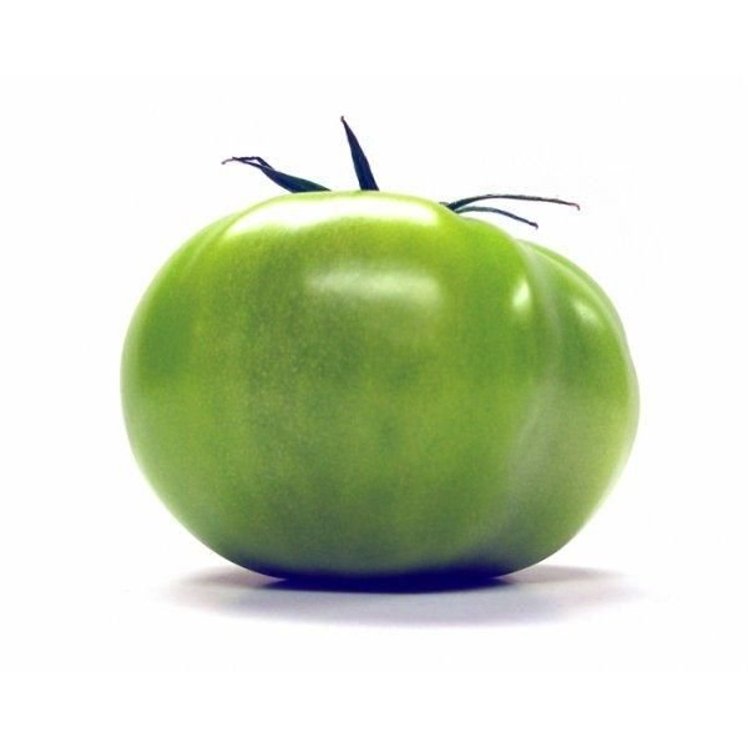 TOMATO GREEN ROUND FRESH