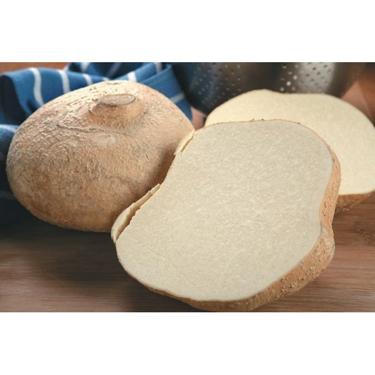 JICAMA FRESH