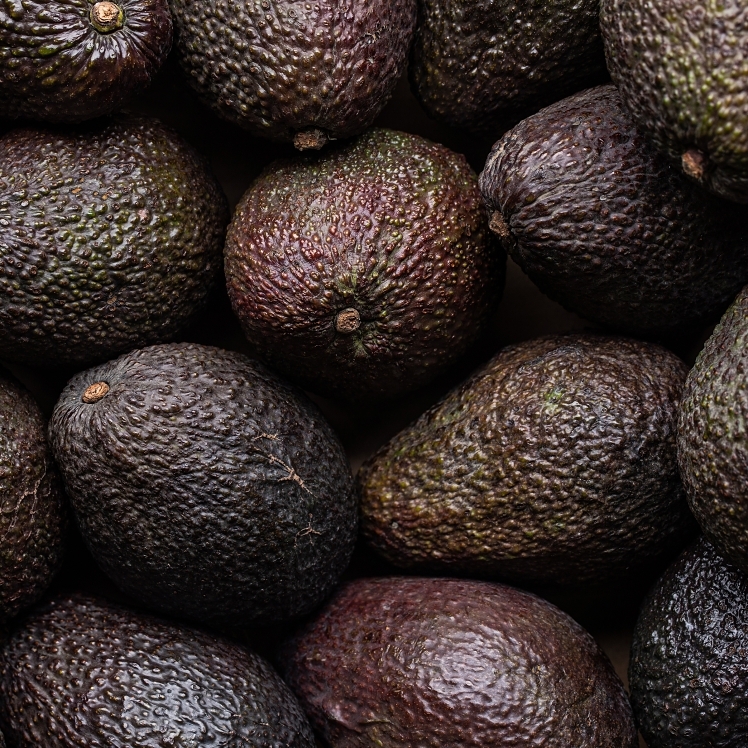 AVOCADO HASS RIPE STAGE 4-5 #2