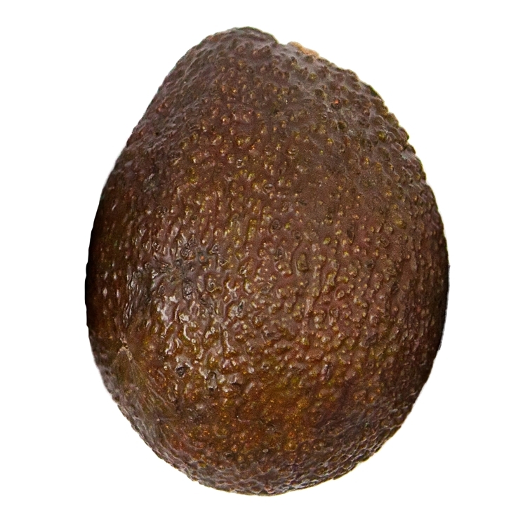 AVOCADO HASS RIPE STAGE 4-5 #2