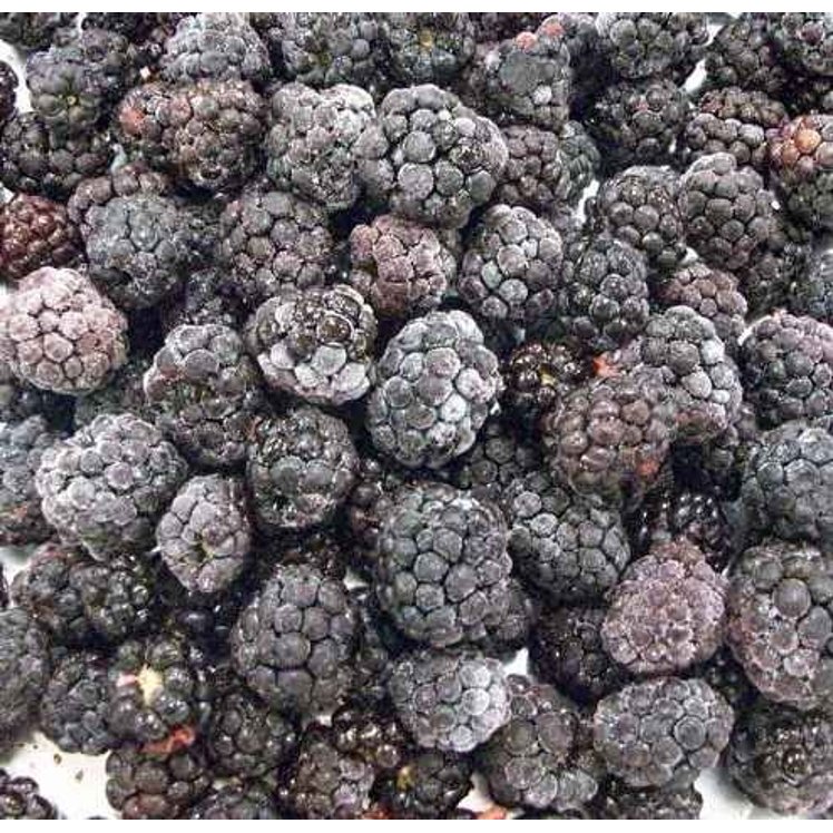 MONARCH BLACKBERRY WHOLE DOMESTIC IQF
