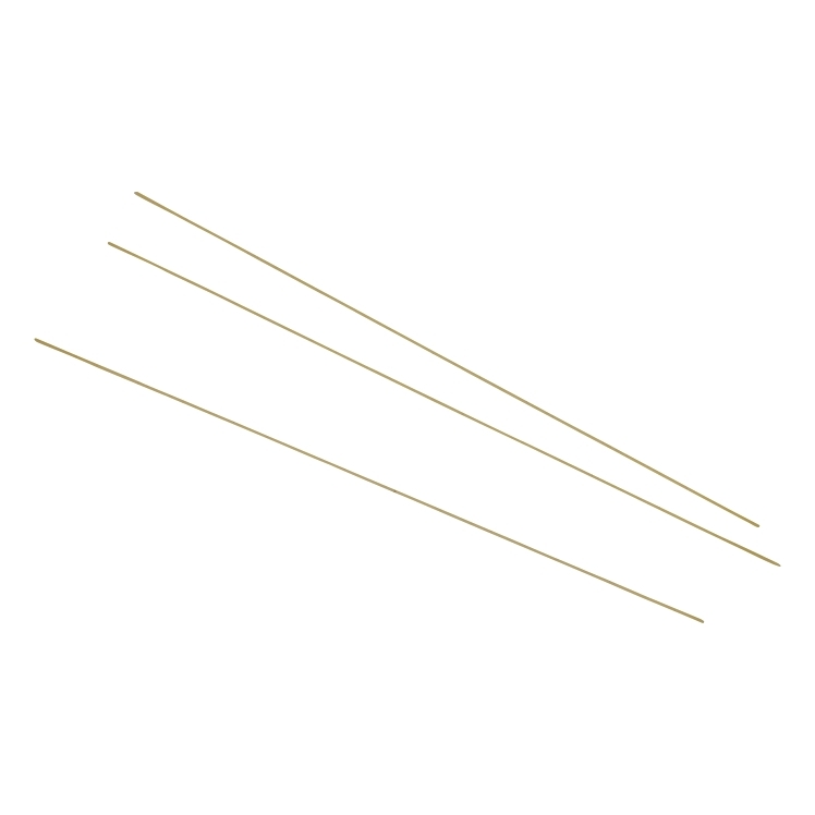 ROSELI ANGEL HAIR PASTA 10 INCH