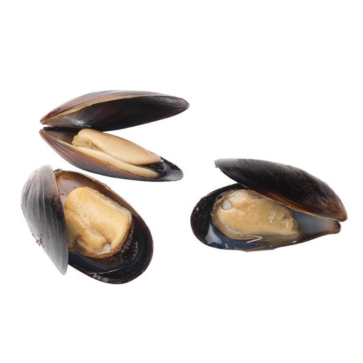 Harbor Banks Blue Mussels