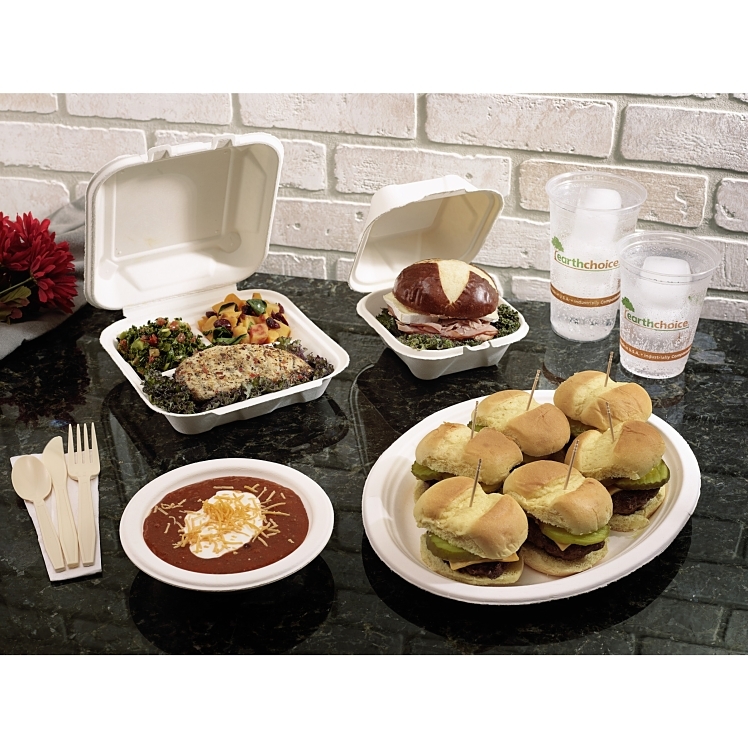 PACTIV EARTHCHOICE 7.5 X 10 INCH MOLDED FIBER PLATTER