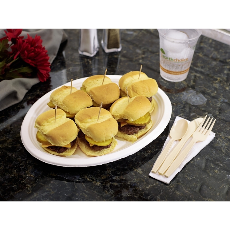 PACTIV EARTHCHOICE 7.5 X 10 INCH MOLDED FIBER PLATTER
