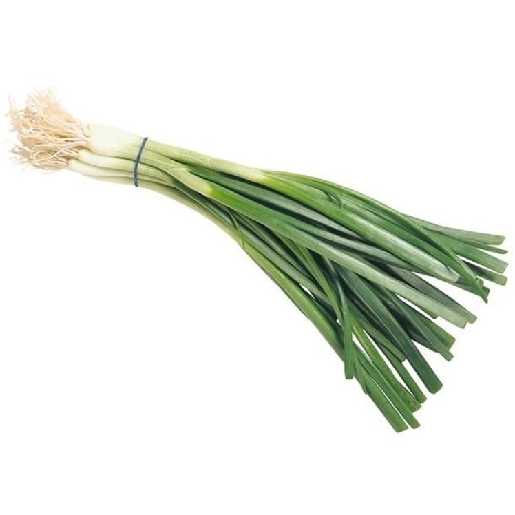 GREEN ONION CELLO PACK FRESH REF SCALLION - US Foods CHEF'STORE