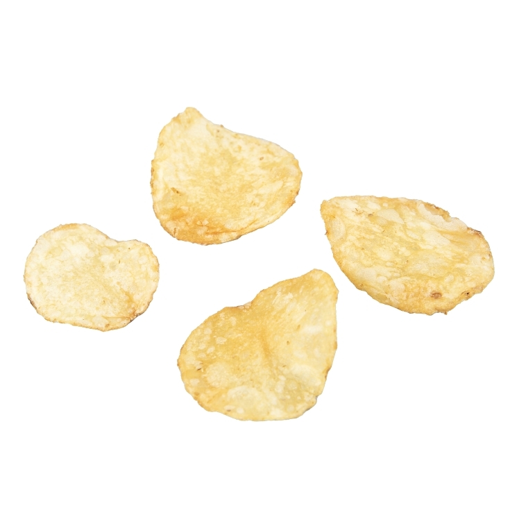 ZAPP'S POTATO CHIP REGULAR