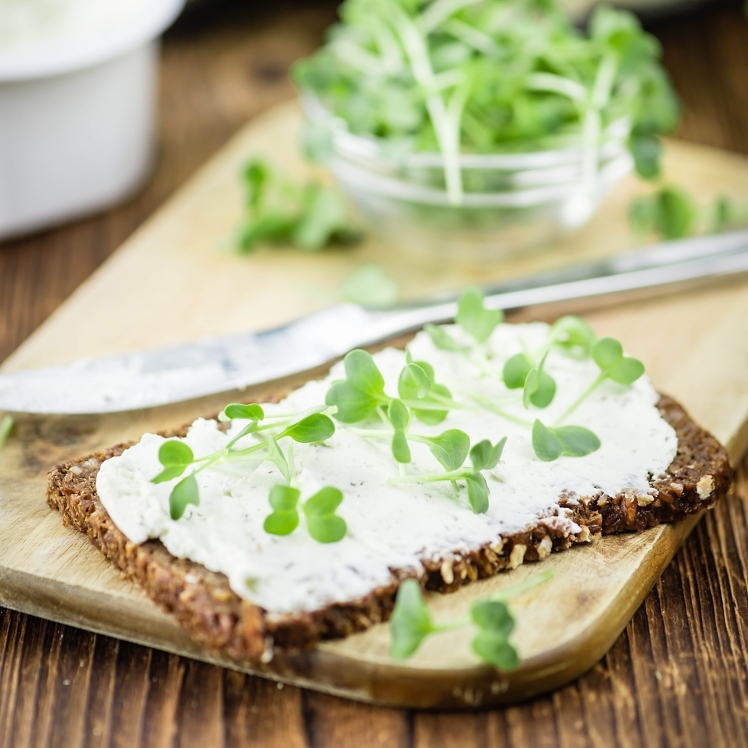 GLENVIEW FARMS LIGHT CREAM CHEESE SPREAD CUPS
