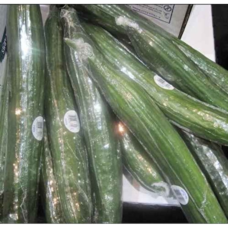 ENGLISH CUCUMBERS FRESH