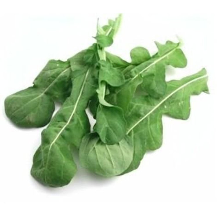 BABY ARUGULA FRESH GREEN