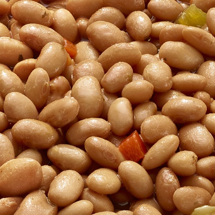 DEL PASADO PINTO BEAN BRACHIO SEED CANNED