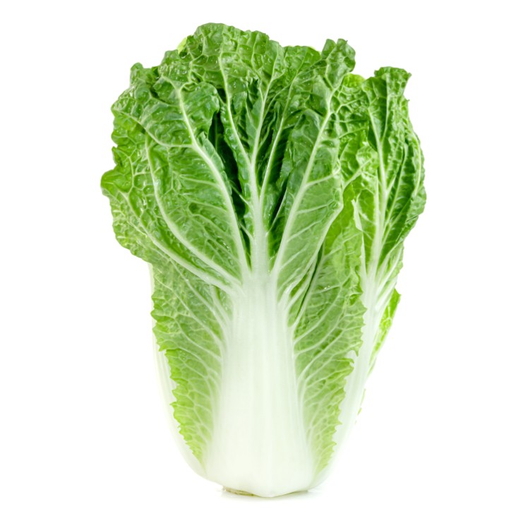 NAPA CABBAGE 30 POUND