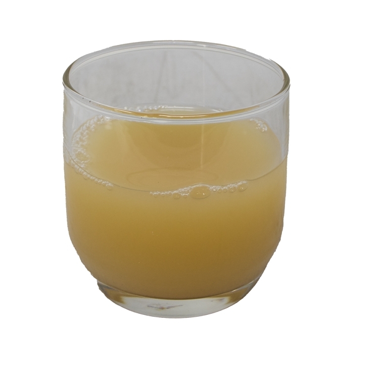 LYONS MAGNUS GRAPEFRUIT JUICE