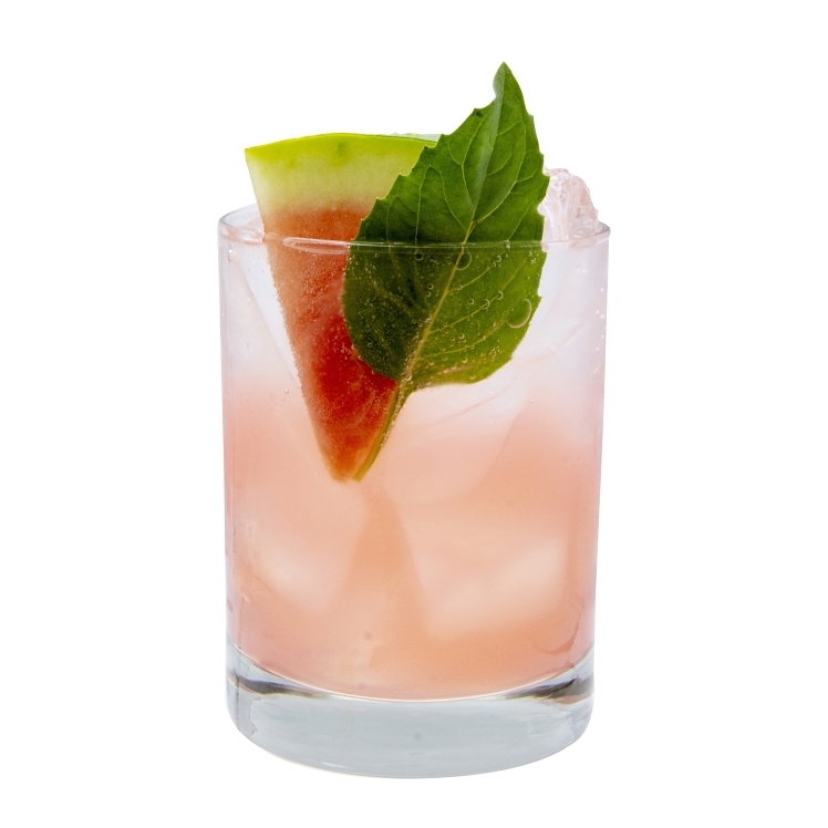 MONIN WATERMELON SYRUP