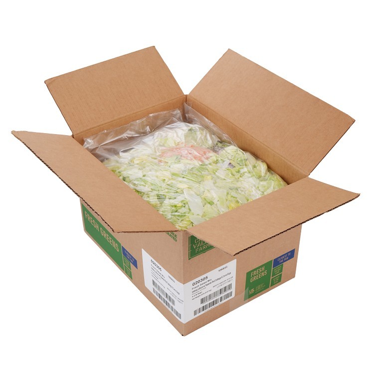 SALAD MIX, GARDEN ICB W/