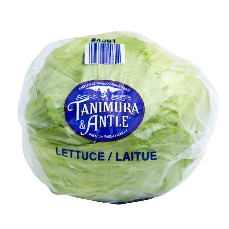 ICEBERG LETTUCE BAG FRESH