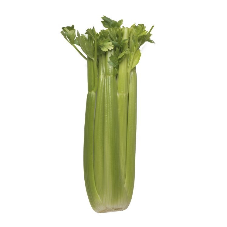 TANIMURA & ANTLE CELERY STALK BULK FRESH