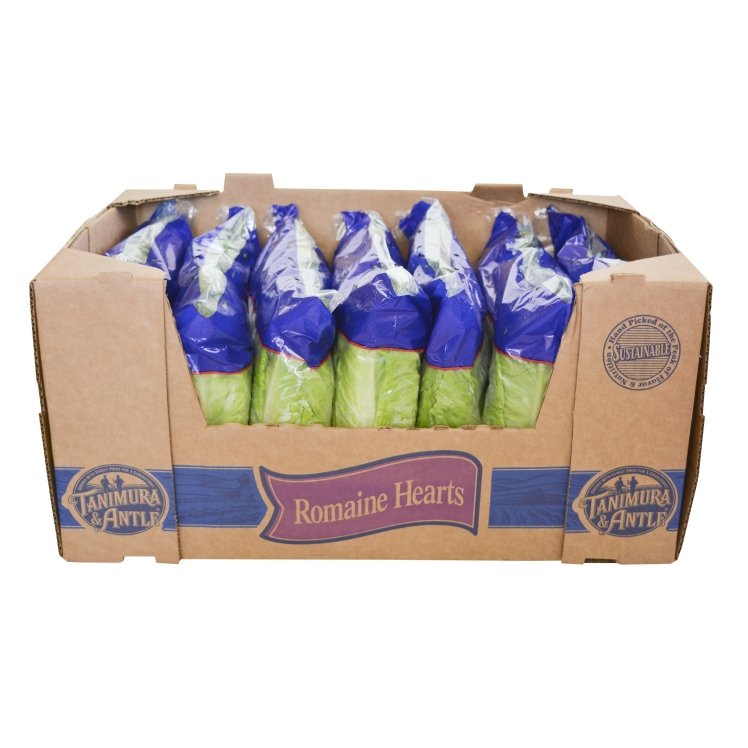TANIMURA & ANTLE ROMAINE HEARTS