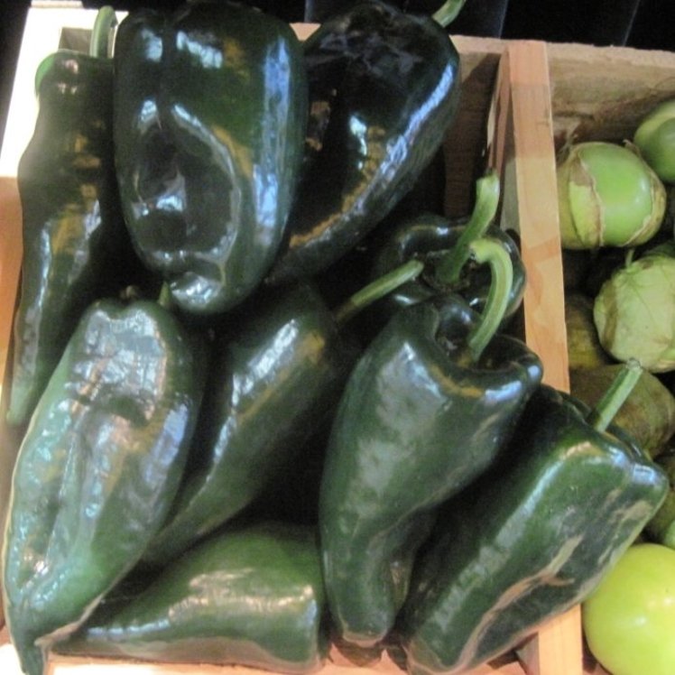CHILI POBLANO PEPPERS FRESH