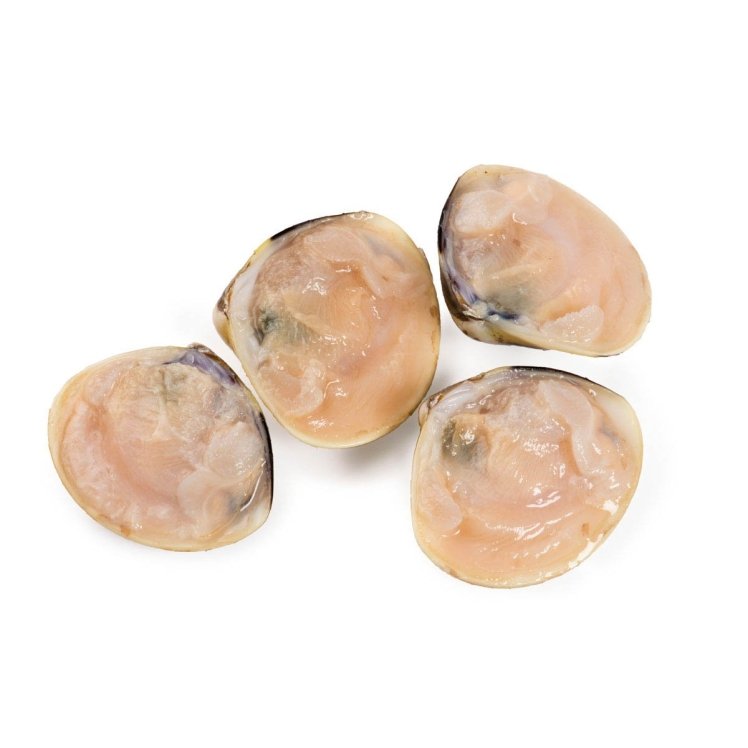 PANAPESCA HALF SHELL CLAMS