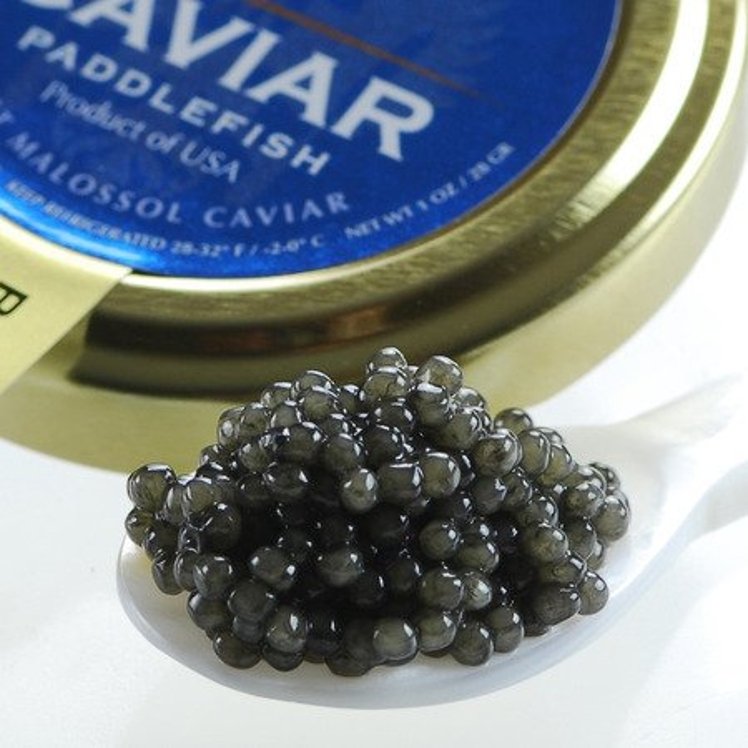 MARKYS CAVIAR PADDLEFISH CAVIAR WILD