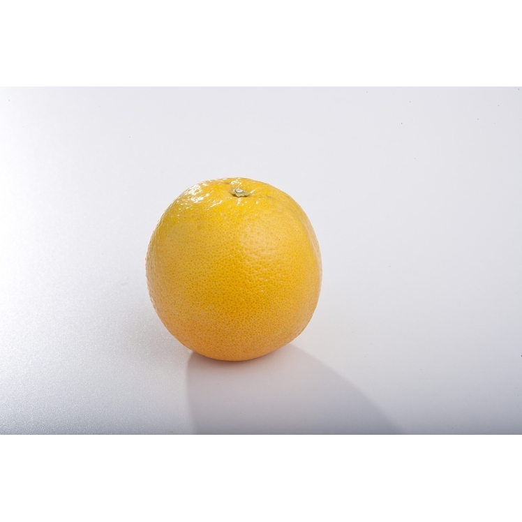 SUNKIST NAVEL ORANGE 88 COUNT CHOICE