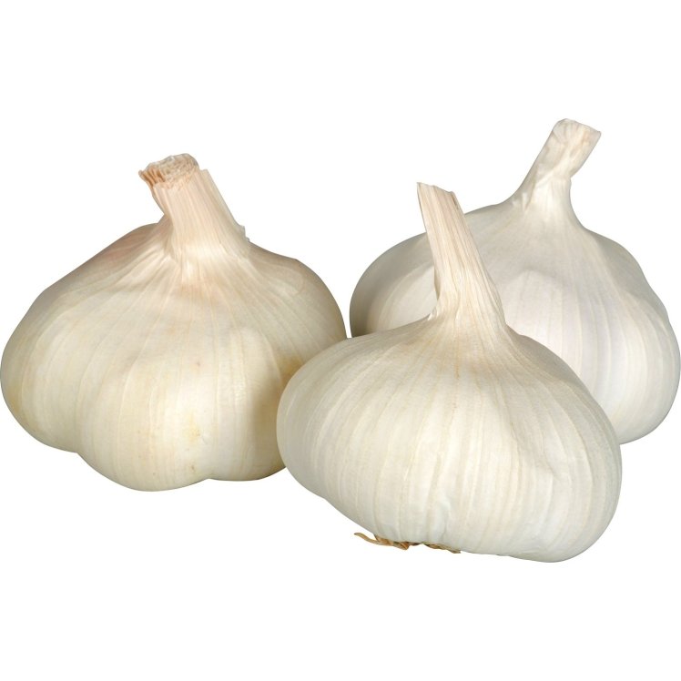 WHITE WHOLE GARLIC BULBS BULK