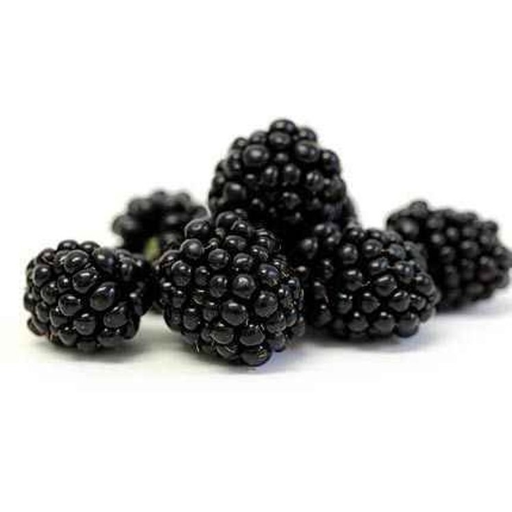 BLACKBERRIES FRESH