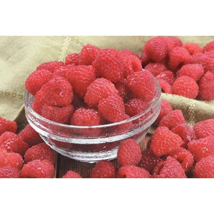 RED RASPBERRIES FRESH