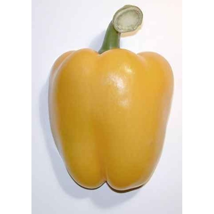 YELLOW DOMESTIC BELL PEPPERS 22-28
