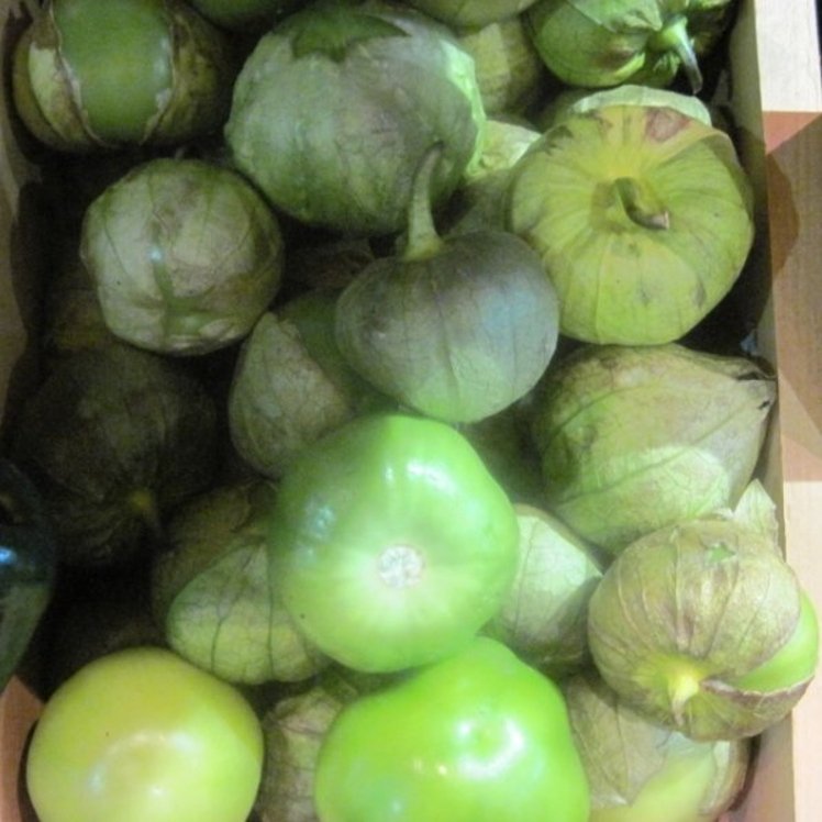 TOMATILLO FRESH