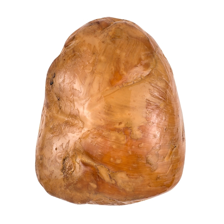 FOSTER FARMS HONEY CURED SMOKED TURKEY BREAST