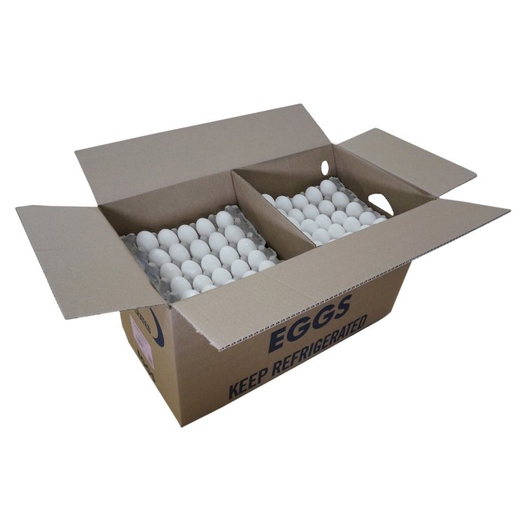 GLENVIEW FARMS GRADE AA LARGE WHITE SHELL EGG LOOSE PACK